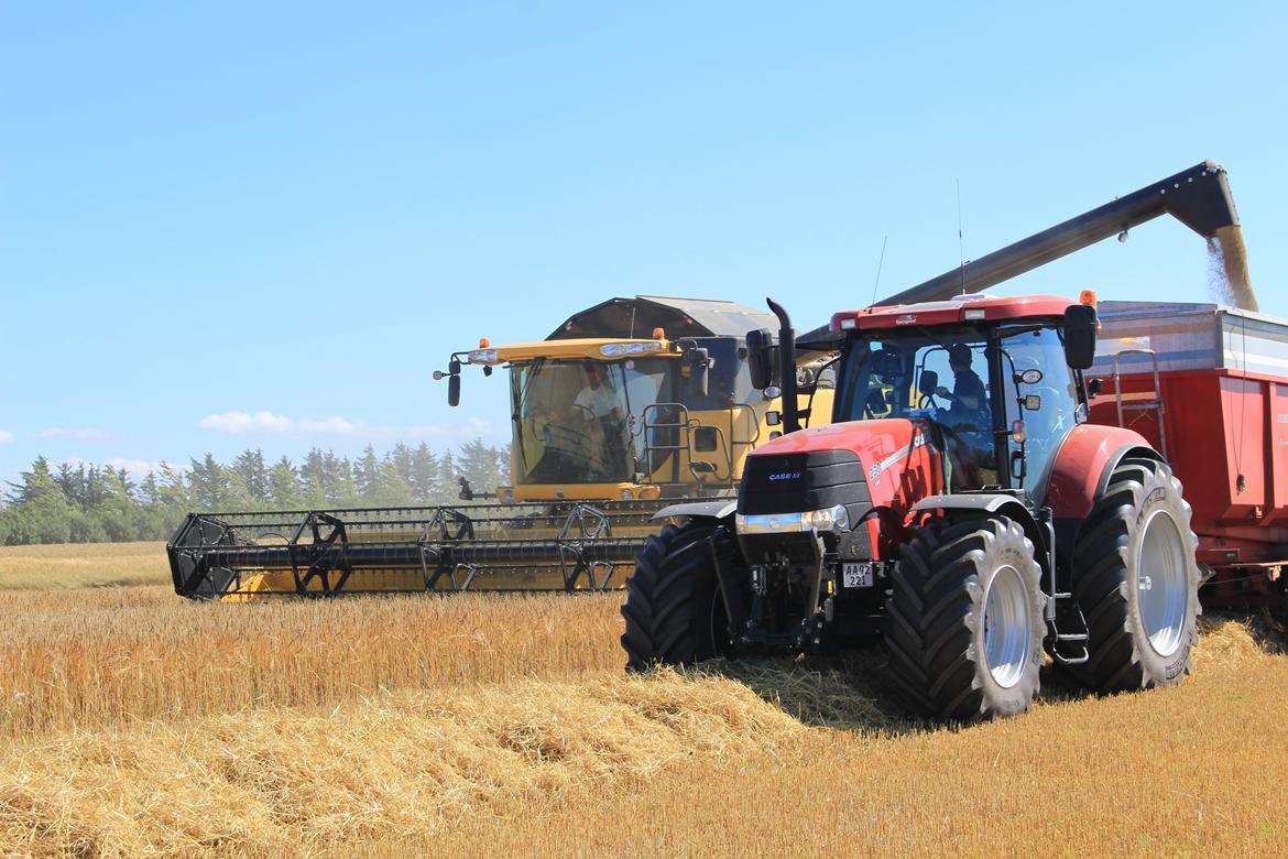 Case IH Puma 230 cvx - Høst af vinterbyg 2014 billede 9