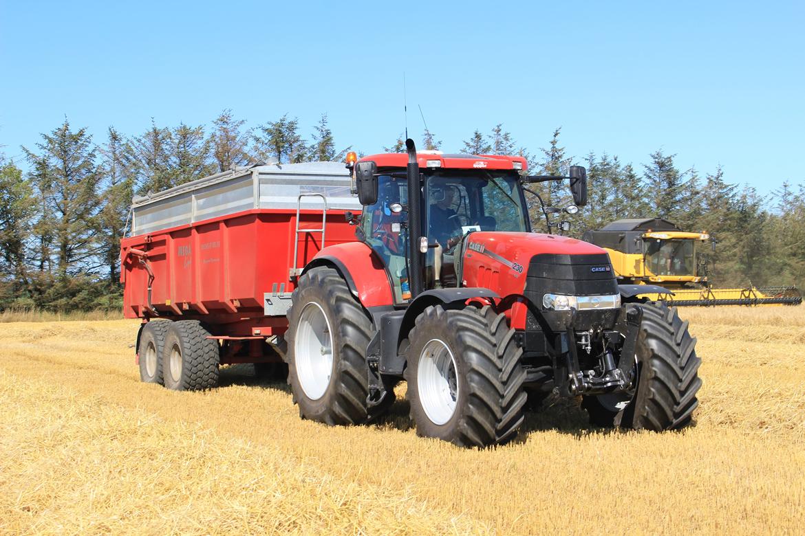 Case IH Puma 230 cvx - Høst af vinterbyg 2014 billede 11