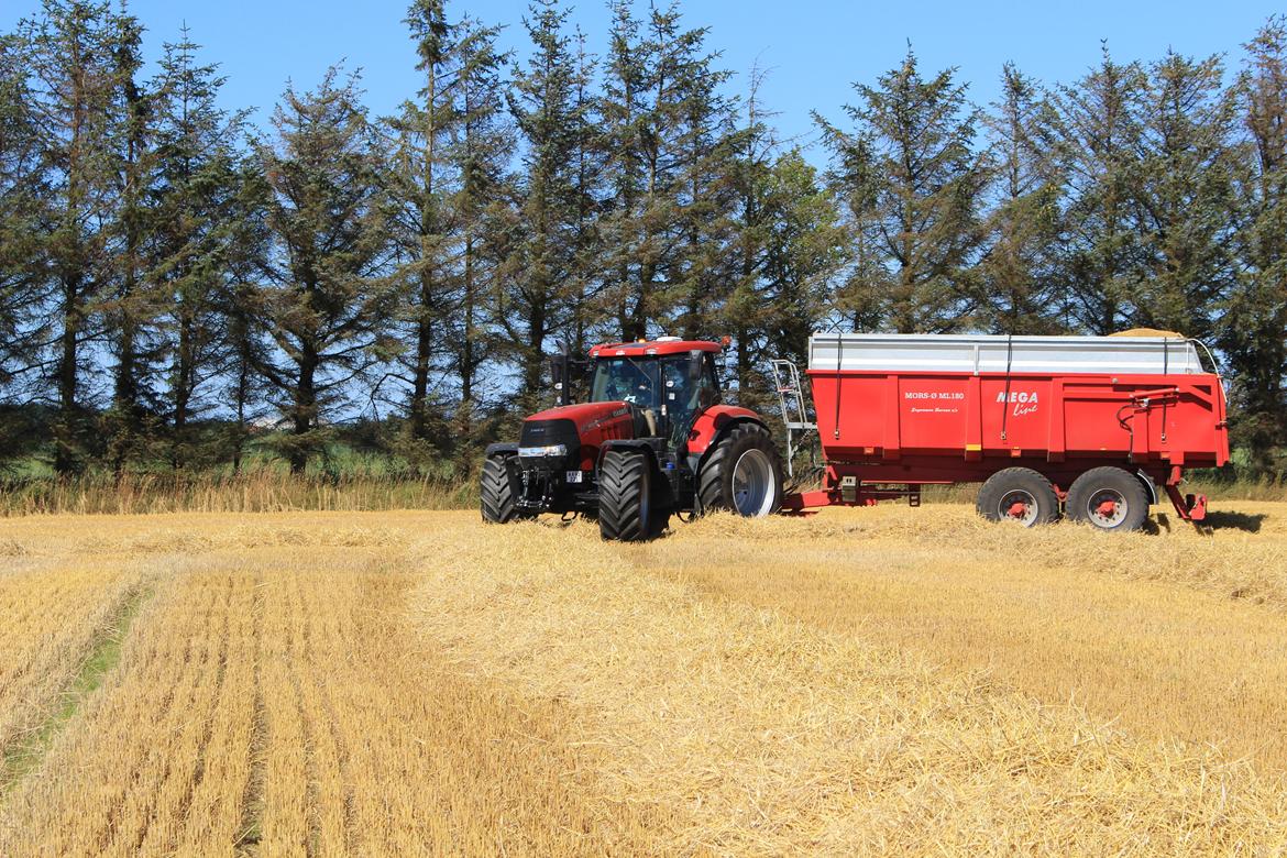 Case IH Puma 230 cvx - Høst af vinterbyg 2014 billede 10