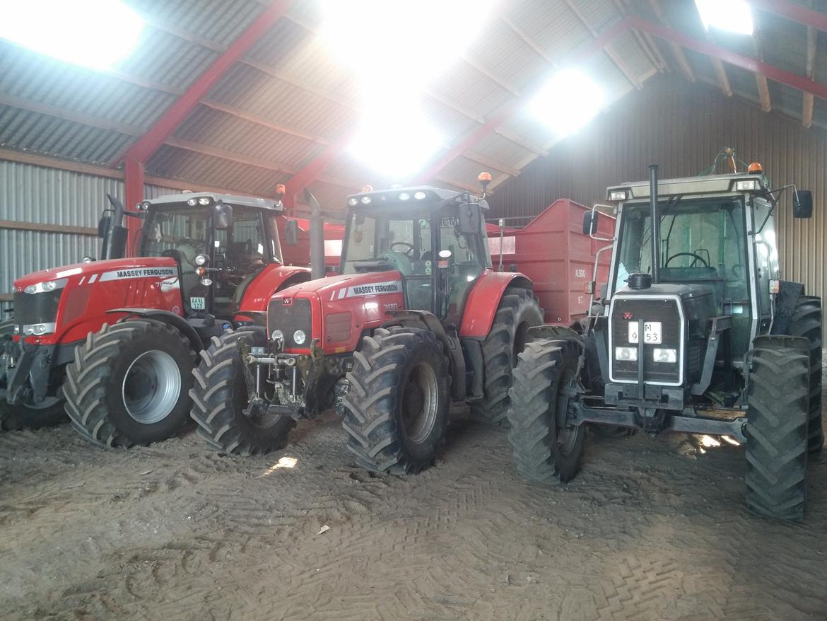 Massey Ferguson 3070 billede 4
