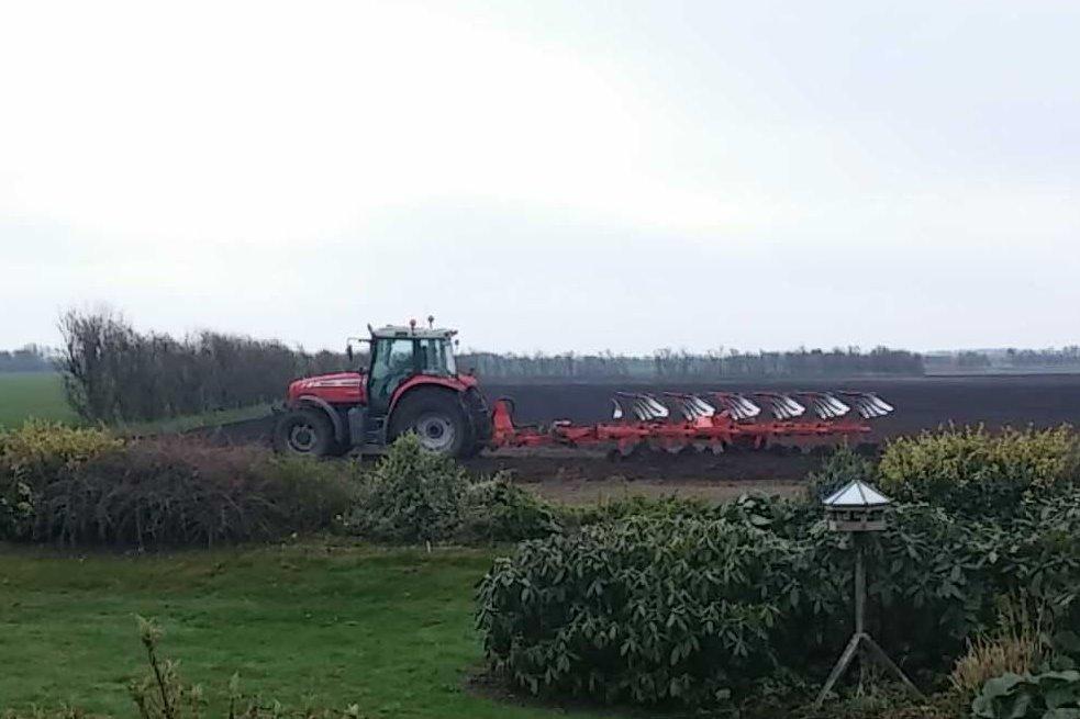 Massey Ferguson 7480 - Pløjer med kuhn 6 furet halvbugseret - købt ved TBS Maskinpower billede 4