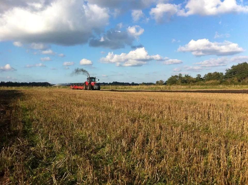 Massey Ferguson 7480 - Pløjer til vinterbyg - 2014 billede 5