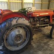 Massey Ferguson 35