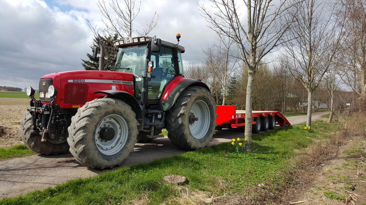 Massey Ferguson 8250 billede 21