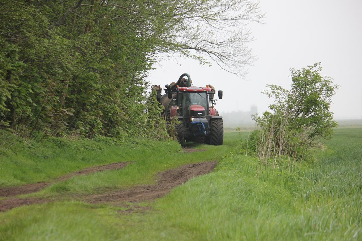 Case IH Puma 230 cvx - Billeder fra sidste dags gylle kørsel 2015 billede 5