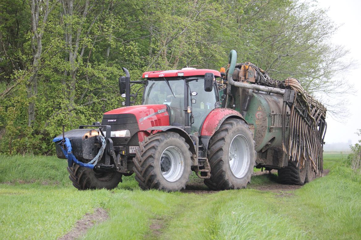 Case IH Puma 230 cvx - Gylle kørsel 2015 billede 6