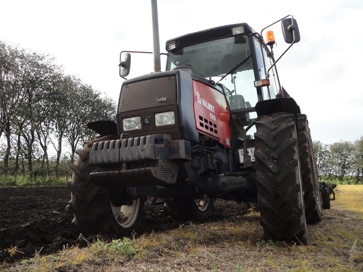 Valmet 6300 billede 16