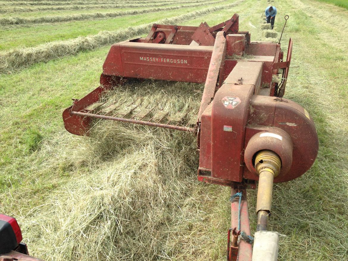 Massey Ferguson 135 billede 23