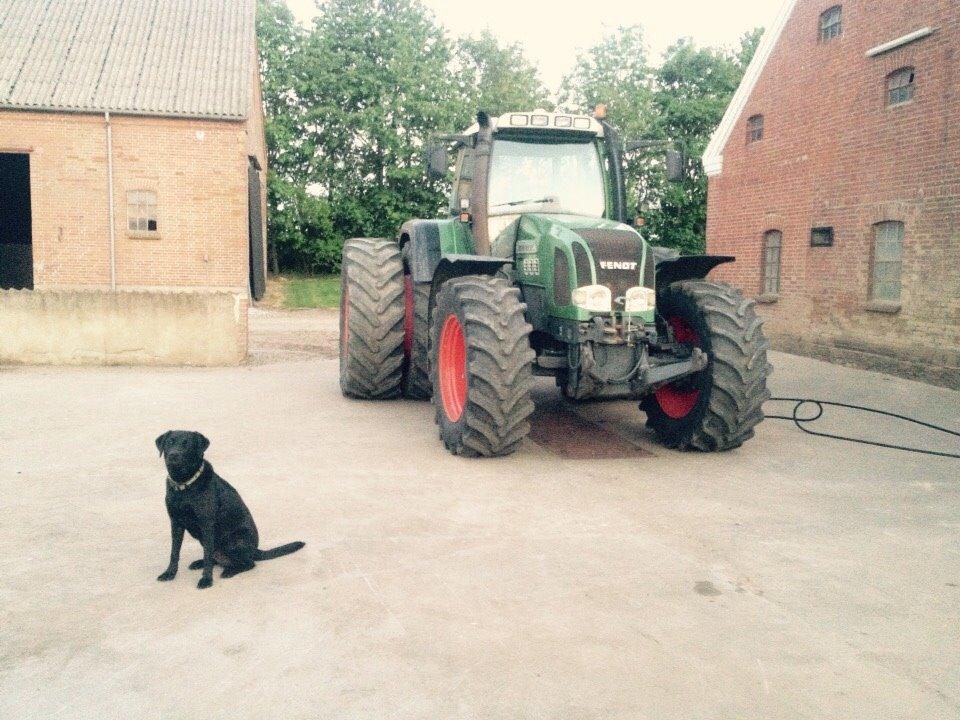 Fendt 916 favorit vario billede 29