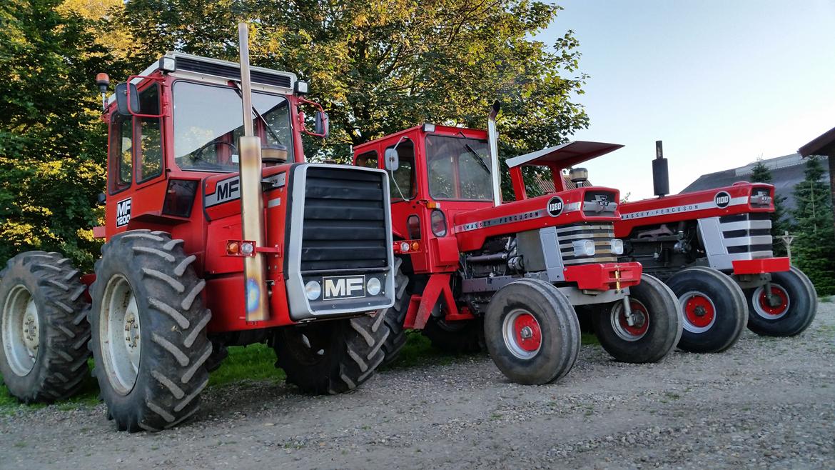 Massey Ferguson 1100 billede 11