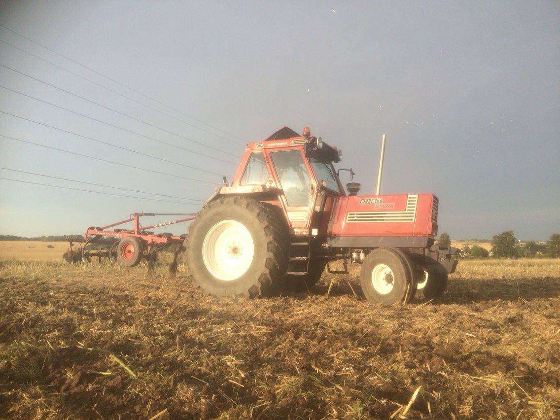 Fiat 1180H billede 10