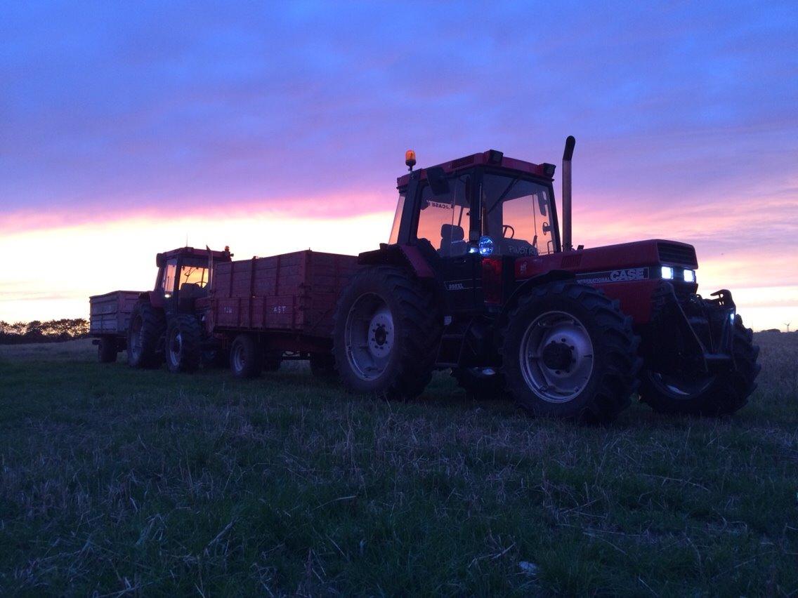 Case IH 956 XL billede 23