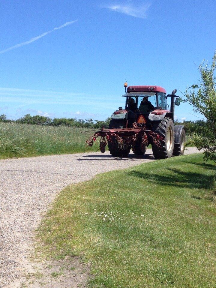 Case IH MX 110 billede 29