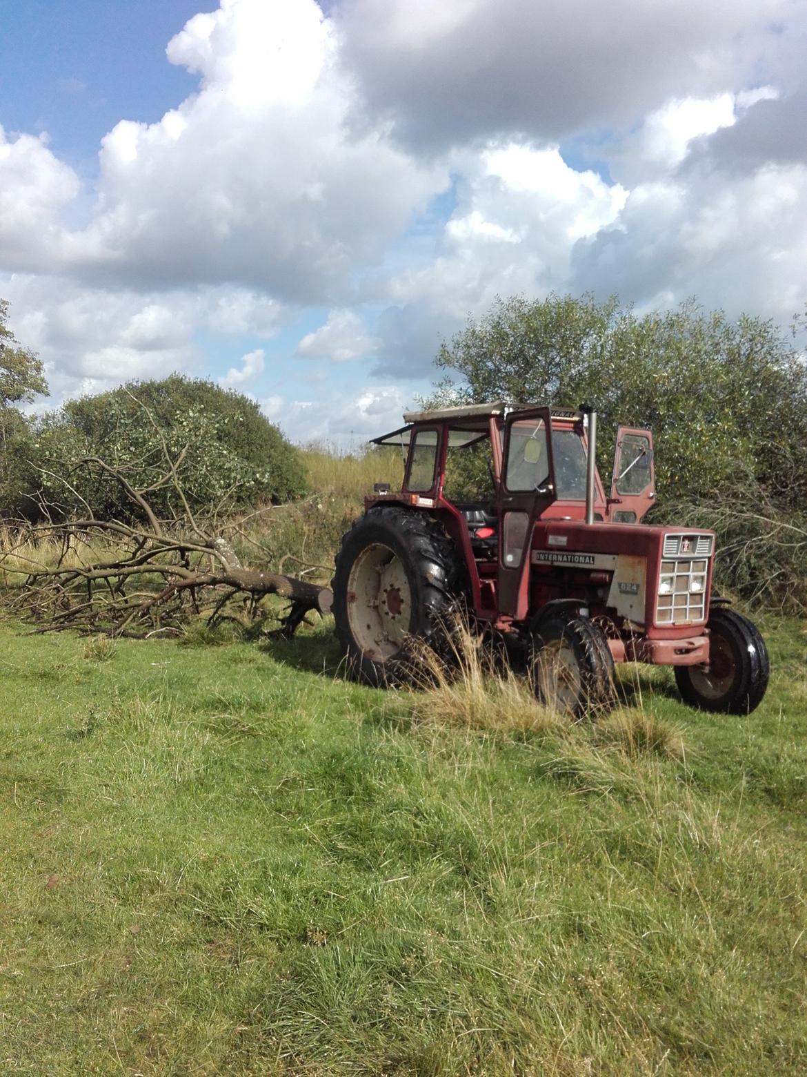 Case IH 824 billede 8