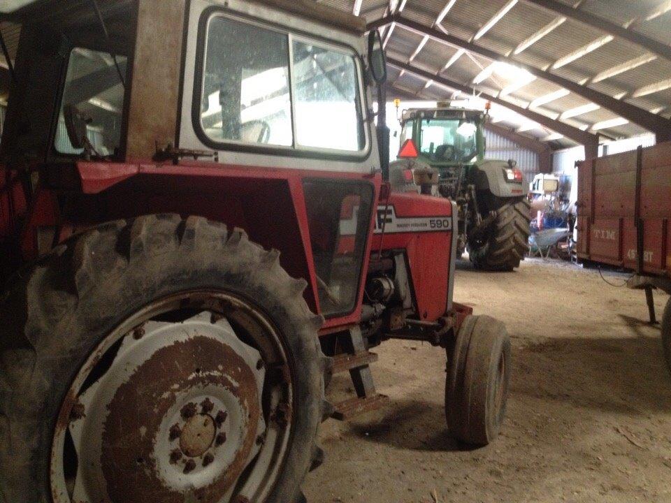 Massey Ferguson 590 billede 11