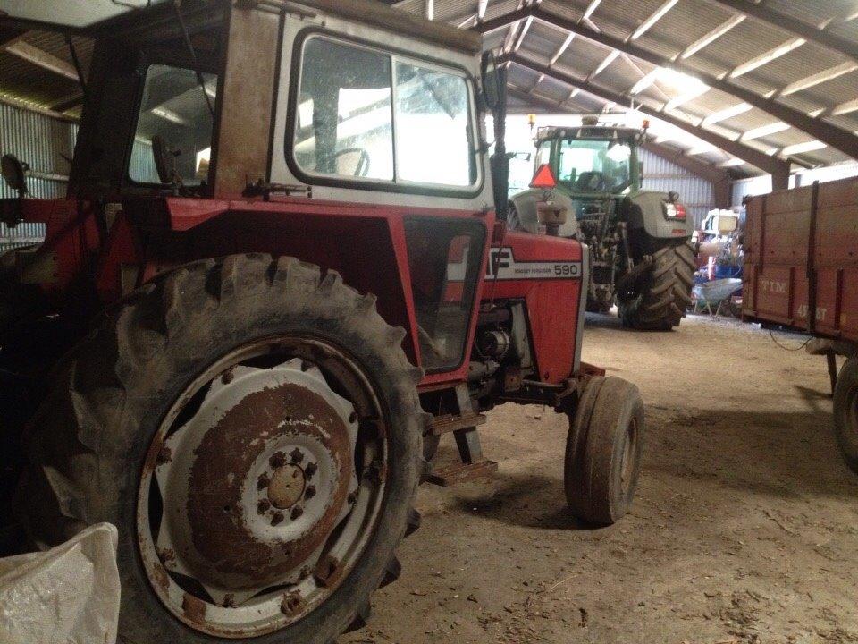 Massey Ferguson 590 billede 13