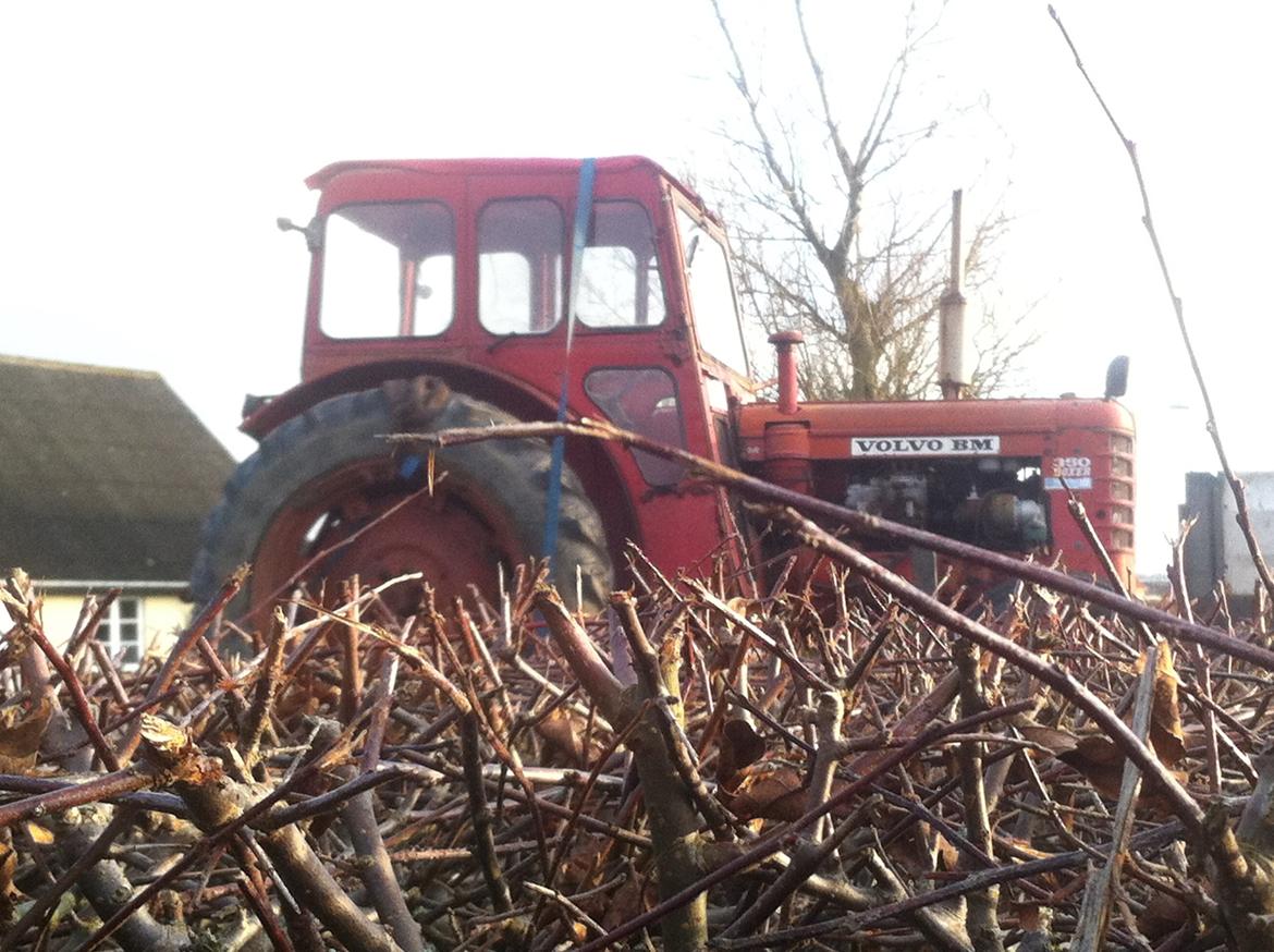 Volvo BM boxer 350  - Volvo BM Boxer 350 ankommer billede 1