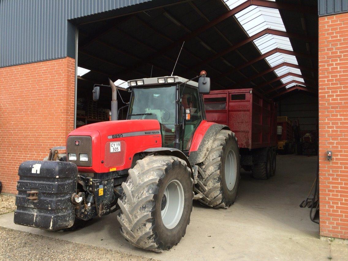 Massey Ferguson 8250 billede 19