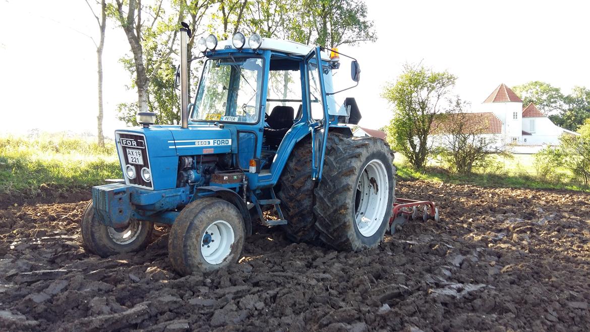 Ford 6600 billede 5