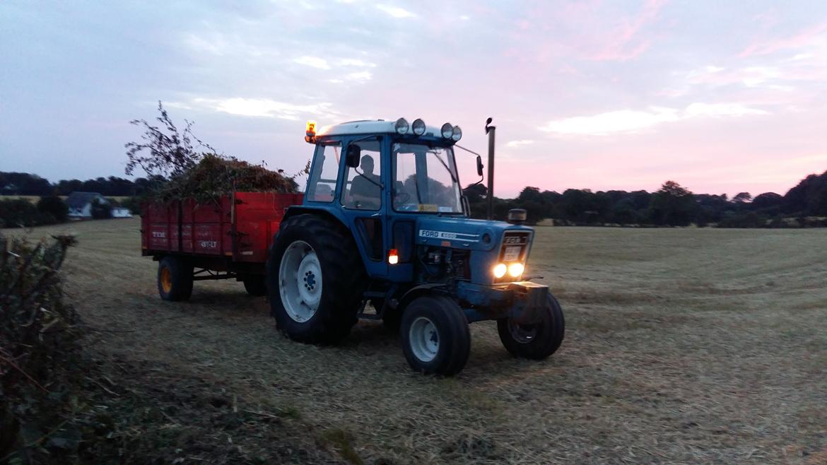 Ford 6600 billede 6