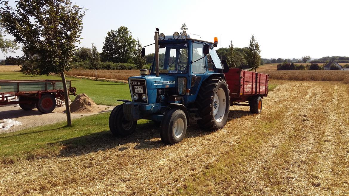 Ford 6600 billede 7