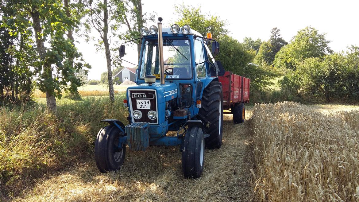 Ford 6600 billede 8
