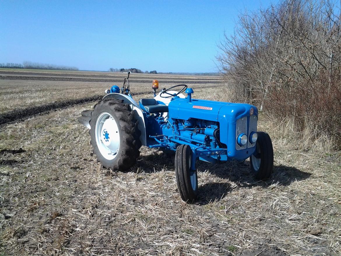 Fordson Dexta  billede 2