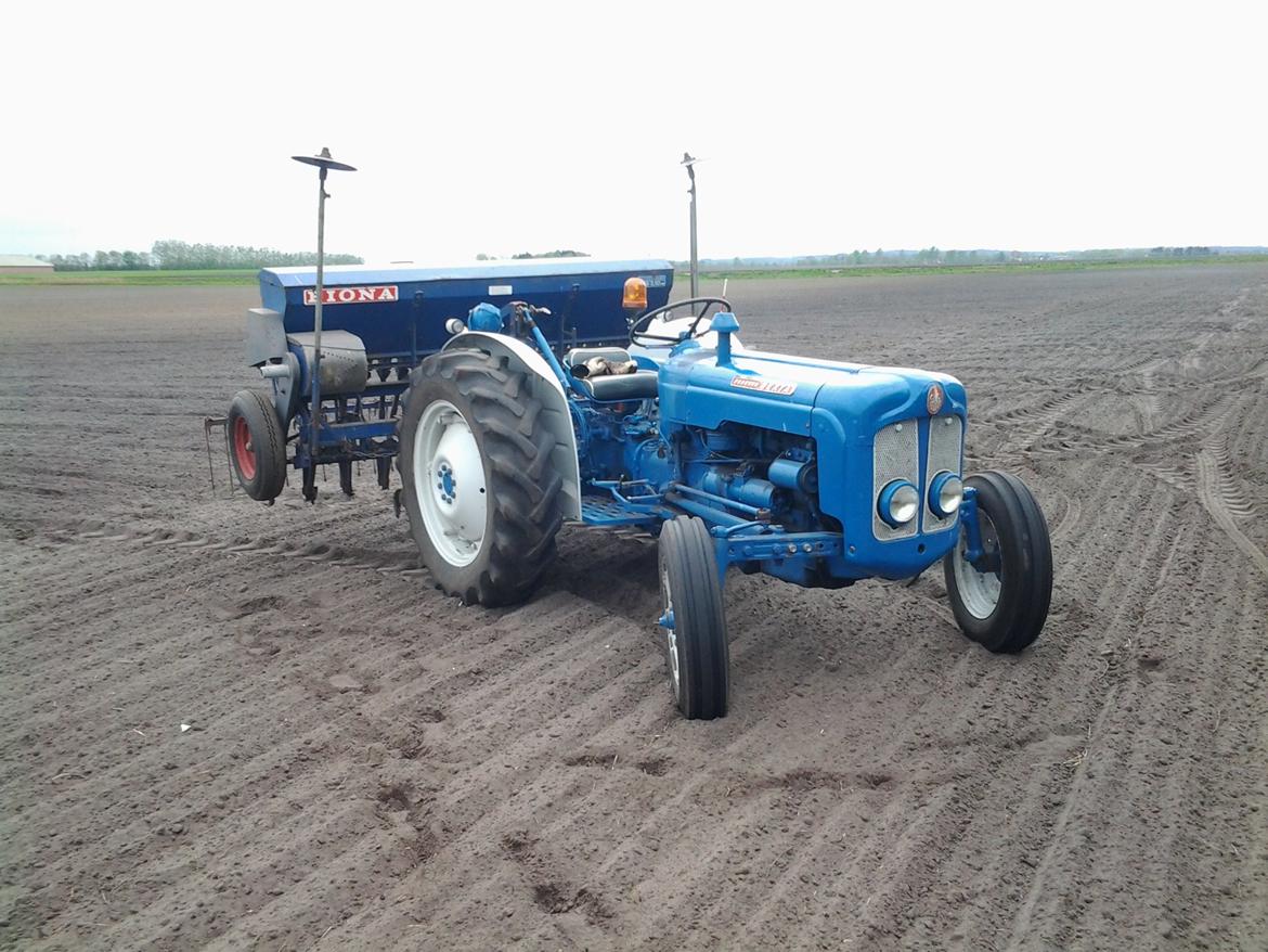Fordson Dexta  billede 9