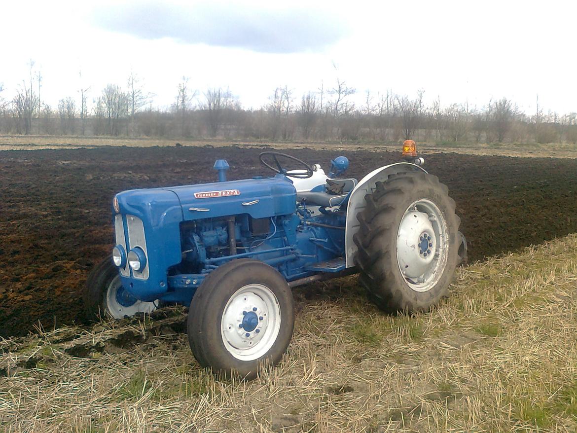 Fordson Dexta  billede 10