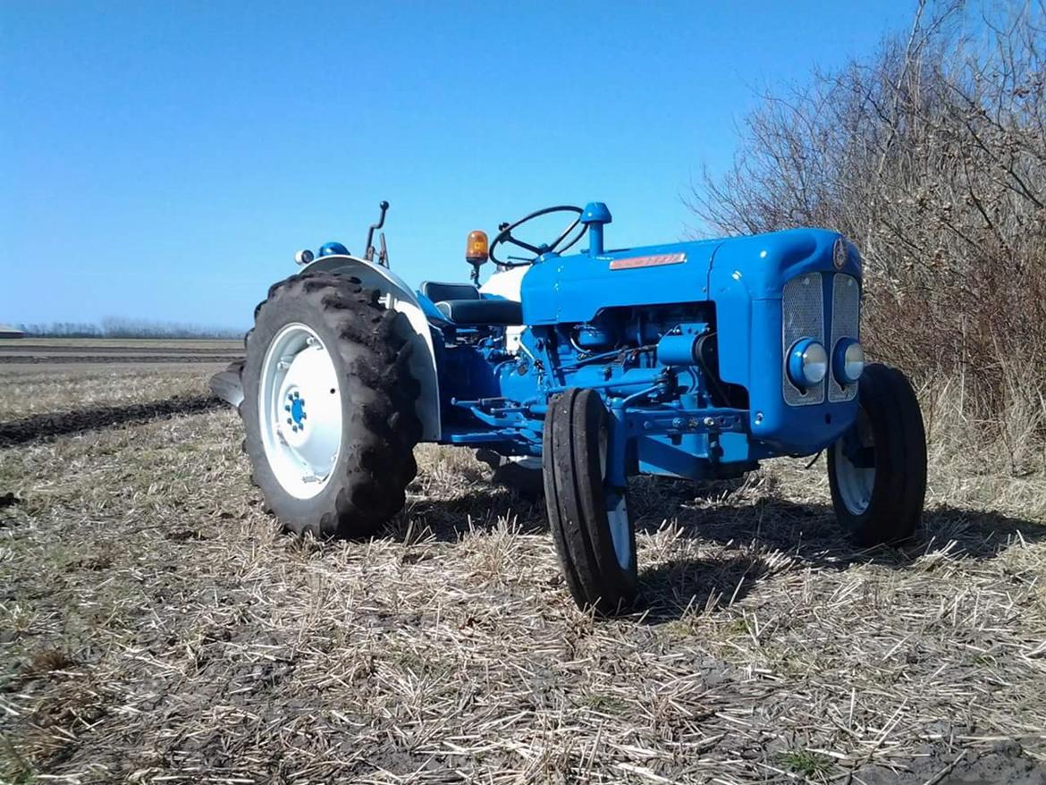 Fordson Dexta  billede 3