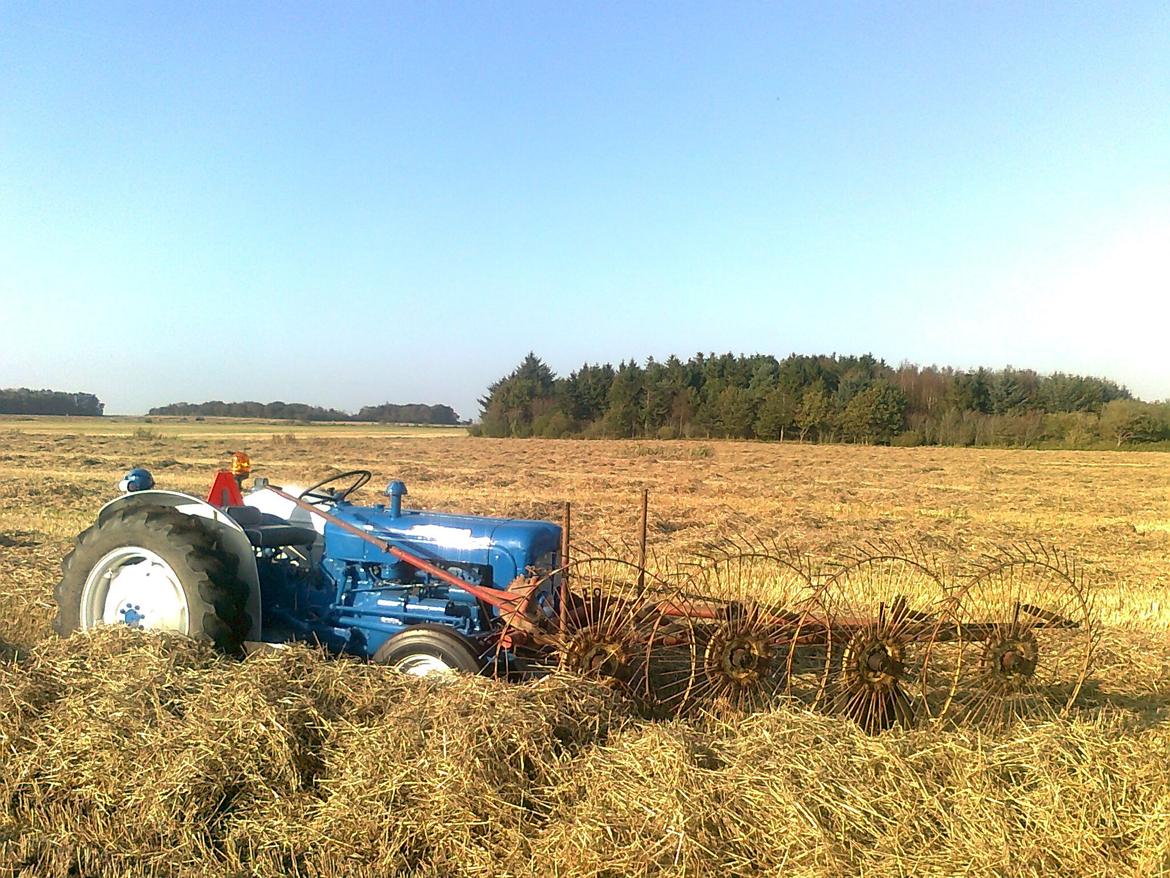 Fordson Dexta  billede 13