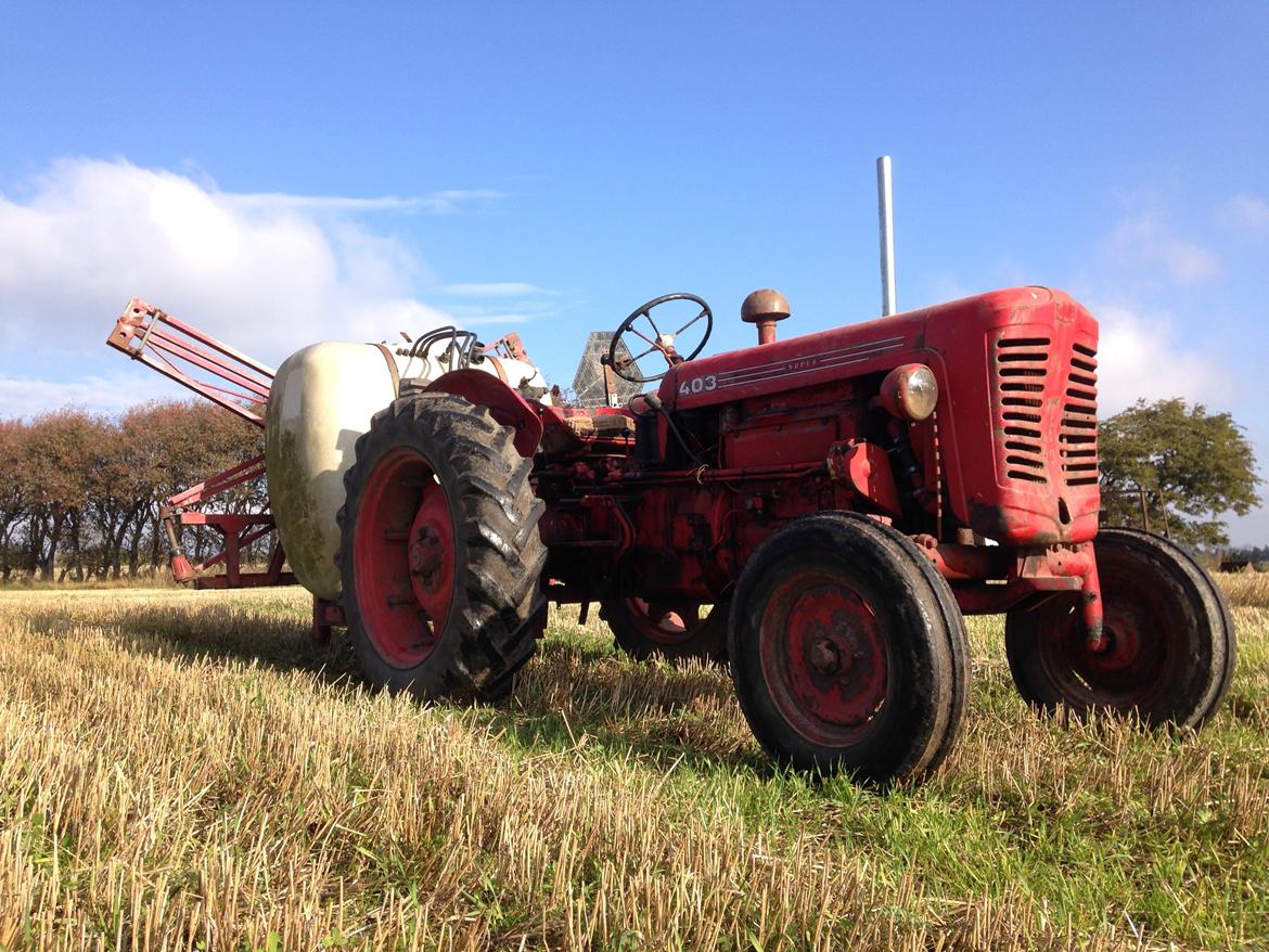 Bukh 403 billede 5