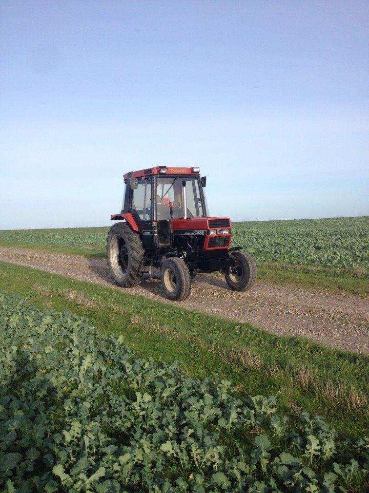 Case IH 685xl billede 22