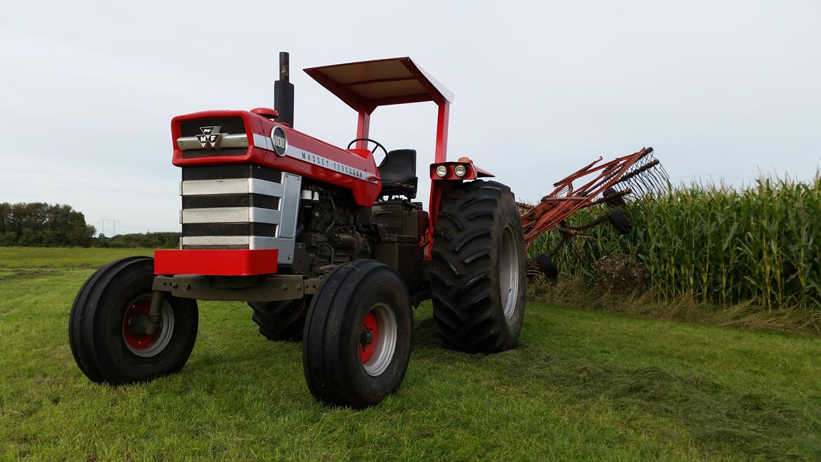 Massey Ferguson 1100 billede 13