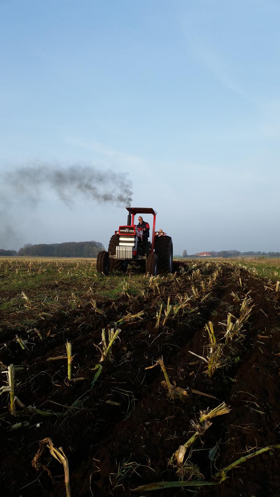 Massey Ferguson 1100 billede 14