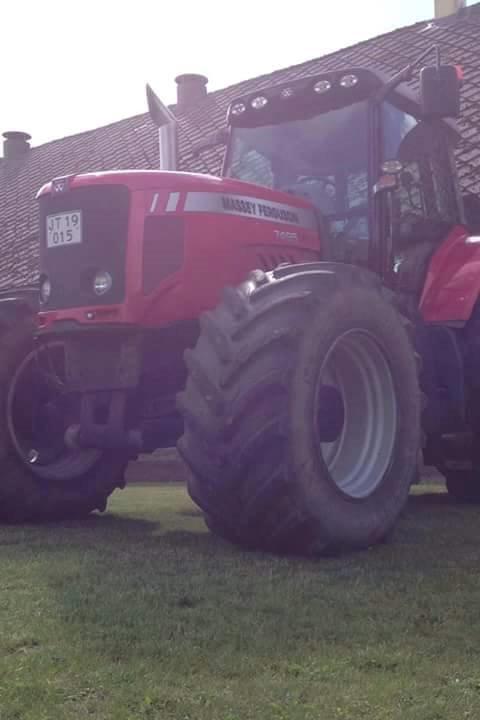 Massey Ferguson 7495 Dyna VT billede 16