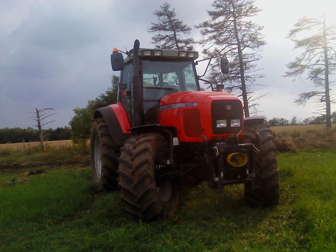 Massey Ferguson 8220 Xtra billede 25