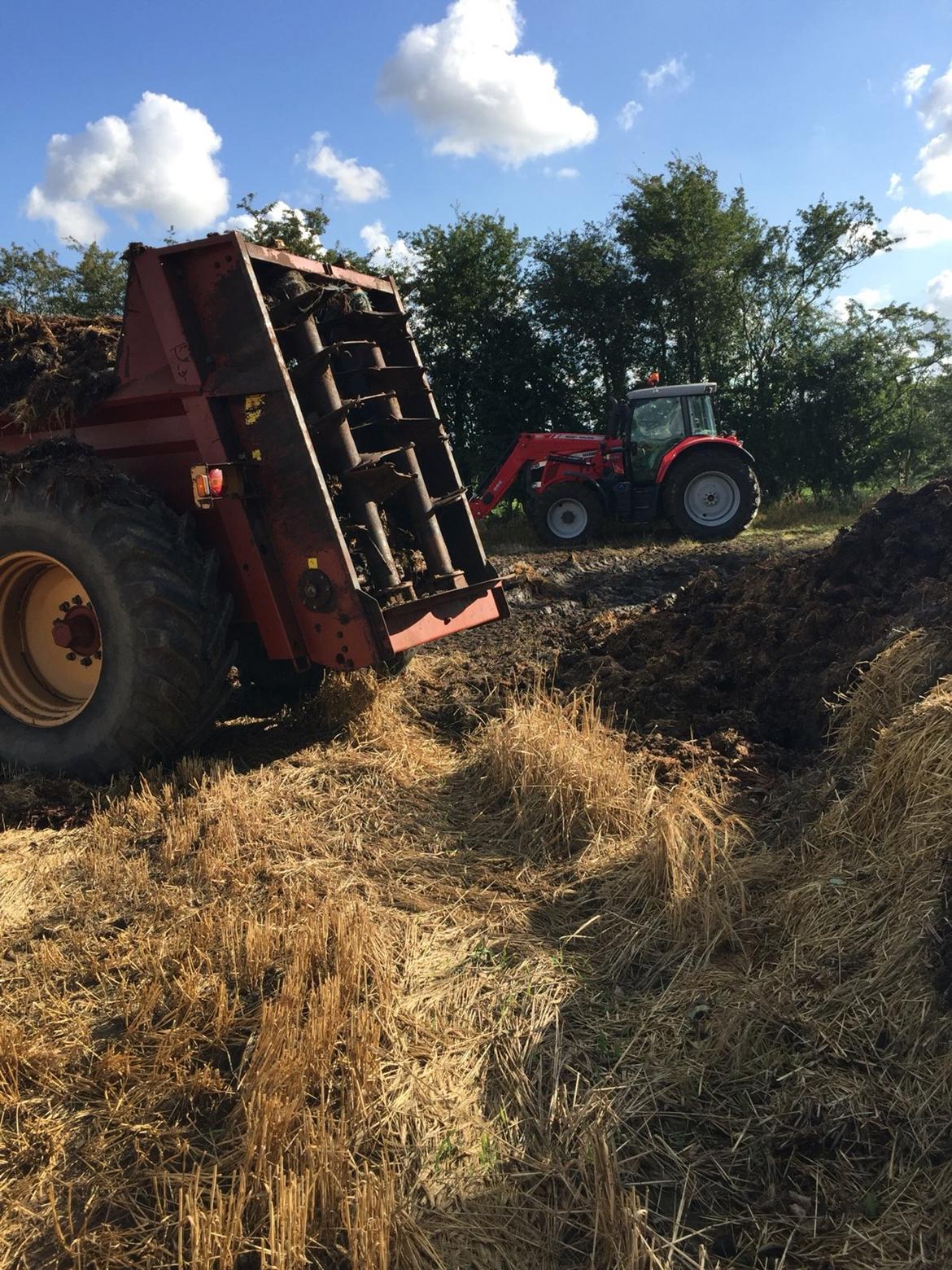 Massey Ferguson 7475 DYNA VT billede 16