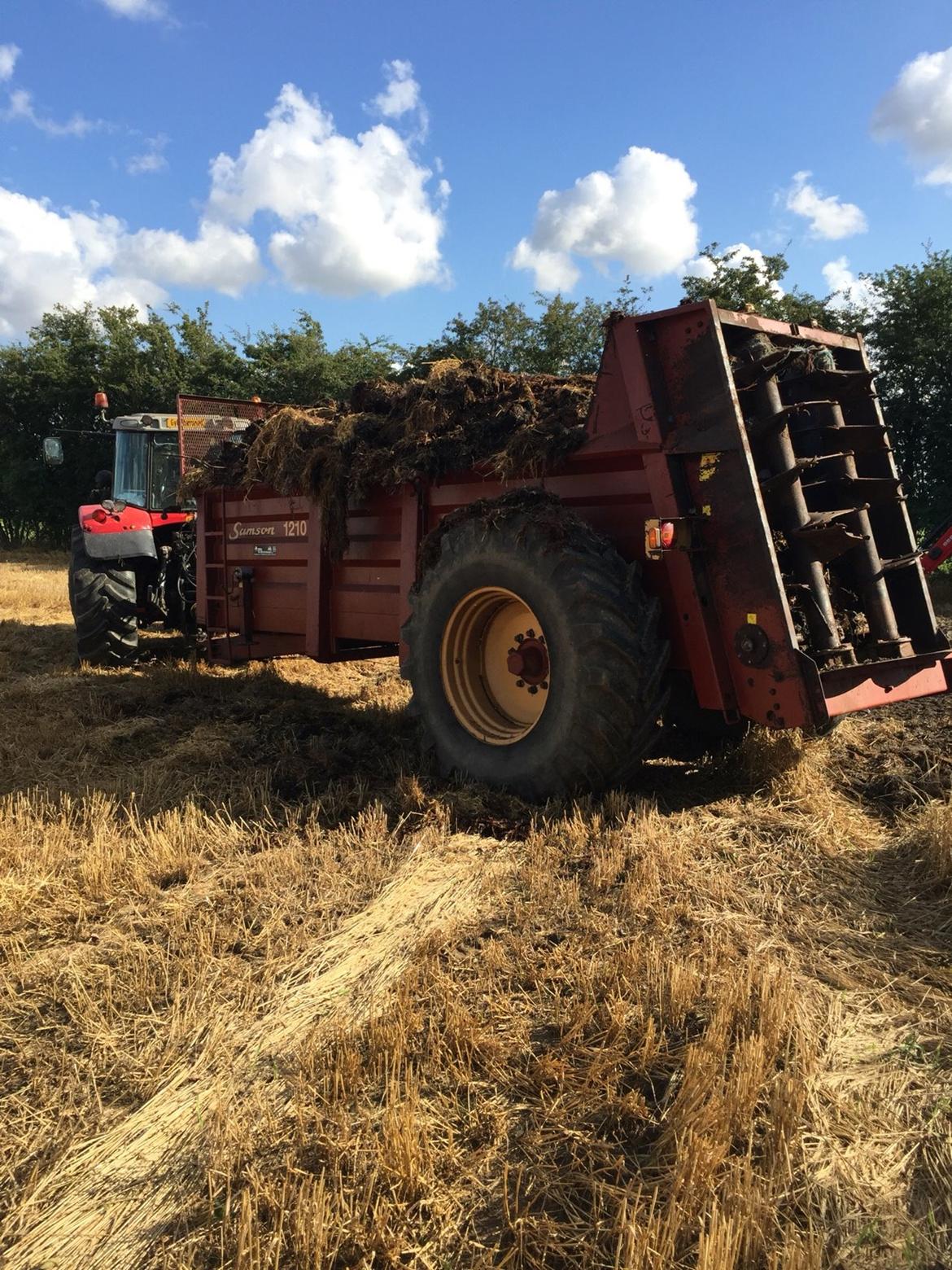 Massey Ferguson 7475 DYNA VT billede 15