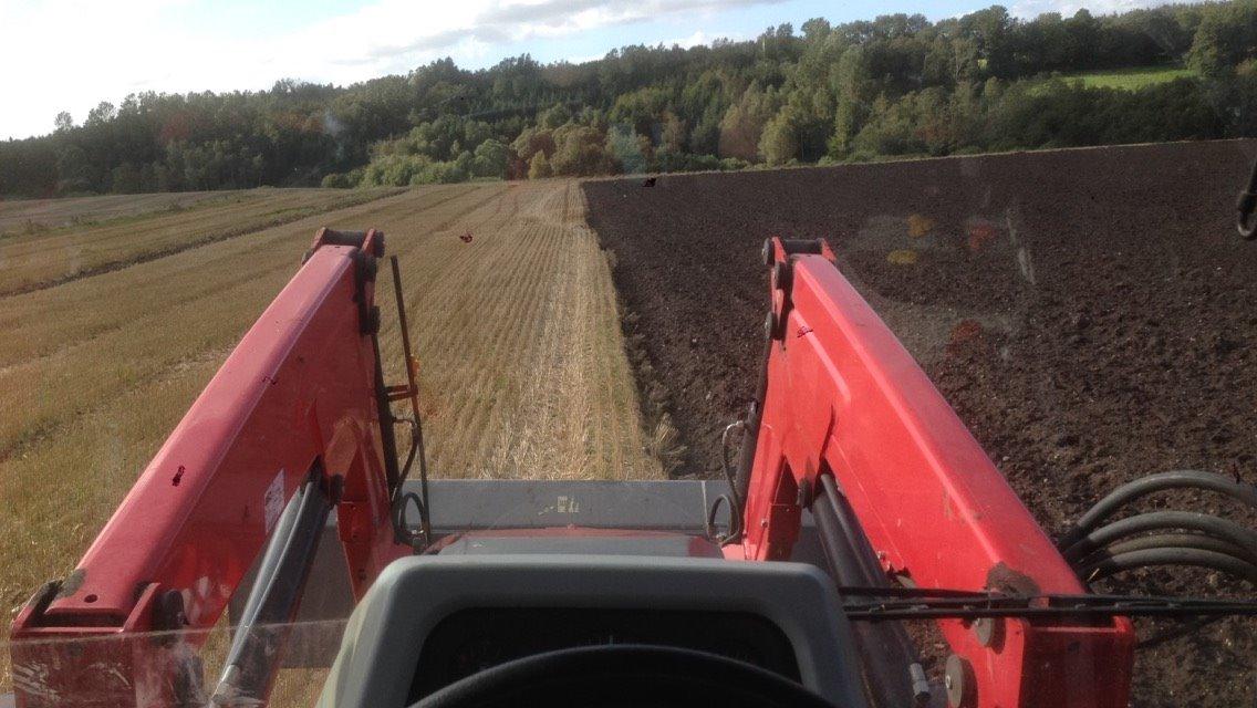 Massey Ferguson 5460 billede 5