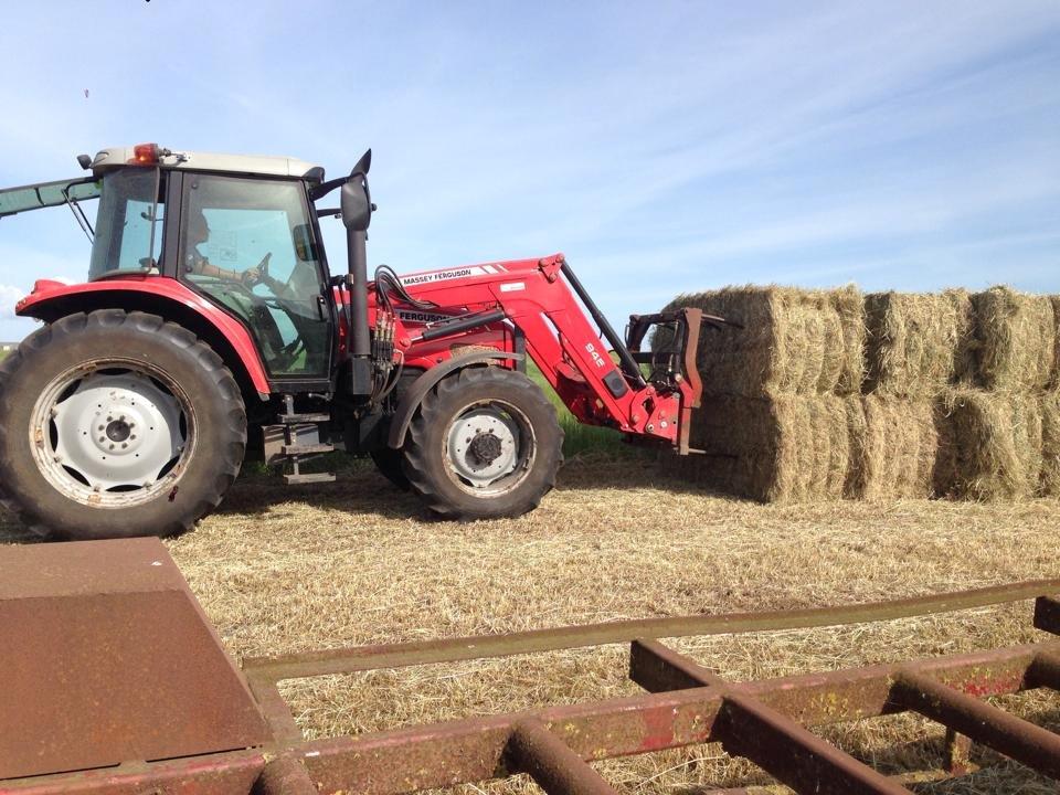 Massey Ferguson 5460 billede 14