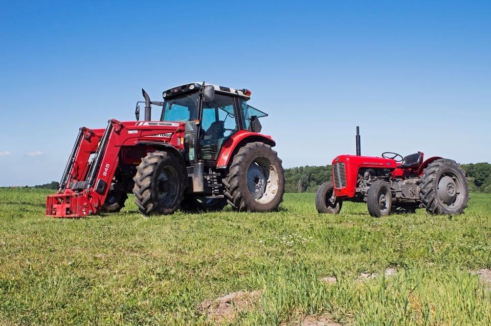 Massey Ferguson 5460 billede 16