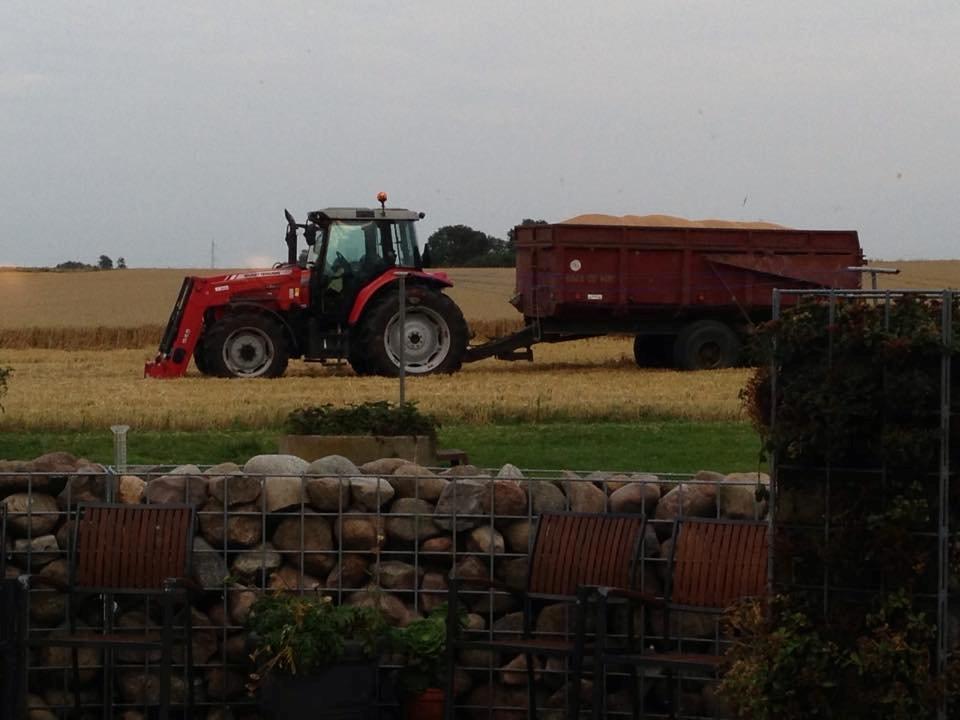 Massey Ferguson 5460 billede 21