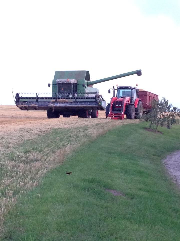 Massey Ferguson 5460 billede 23