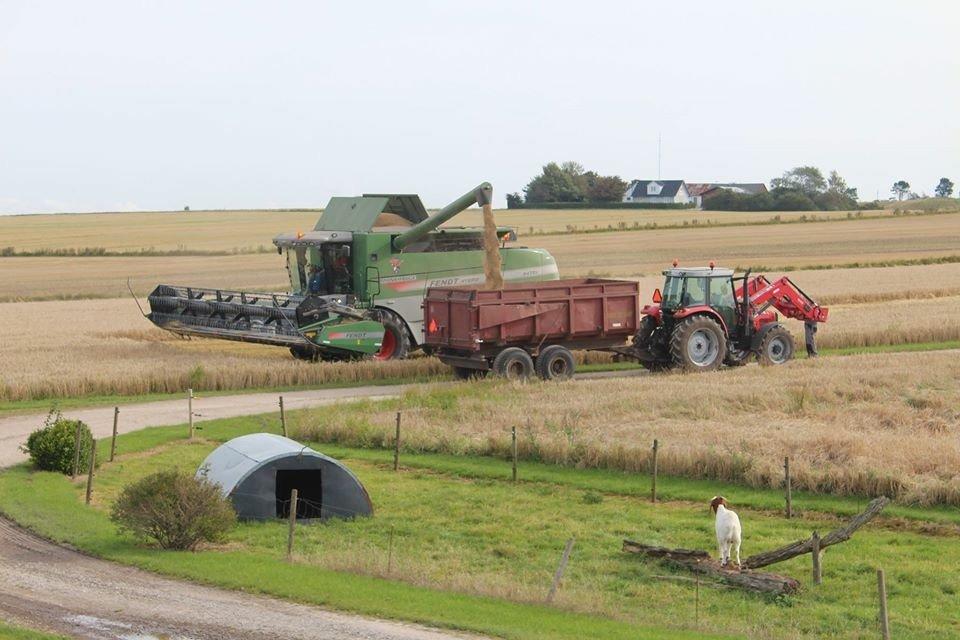 Massey Ferguson 5460 billede 22