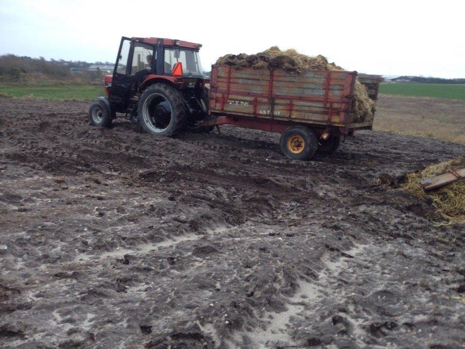 Case IH 685xl billede 24