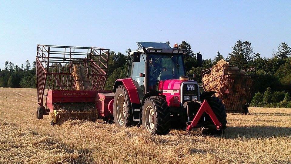 Massey Ferguson 6160 billede 10