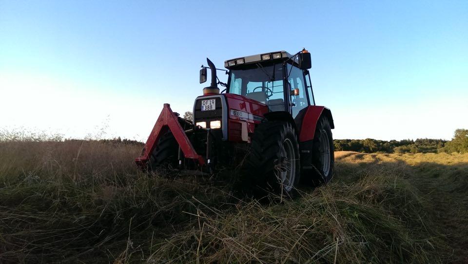 Massey Ferguson 6160 billede 15