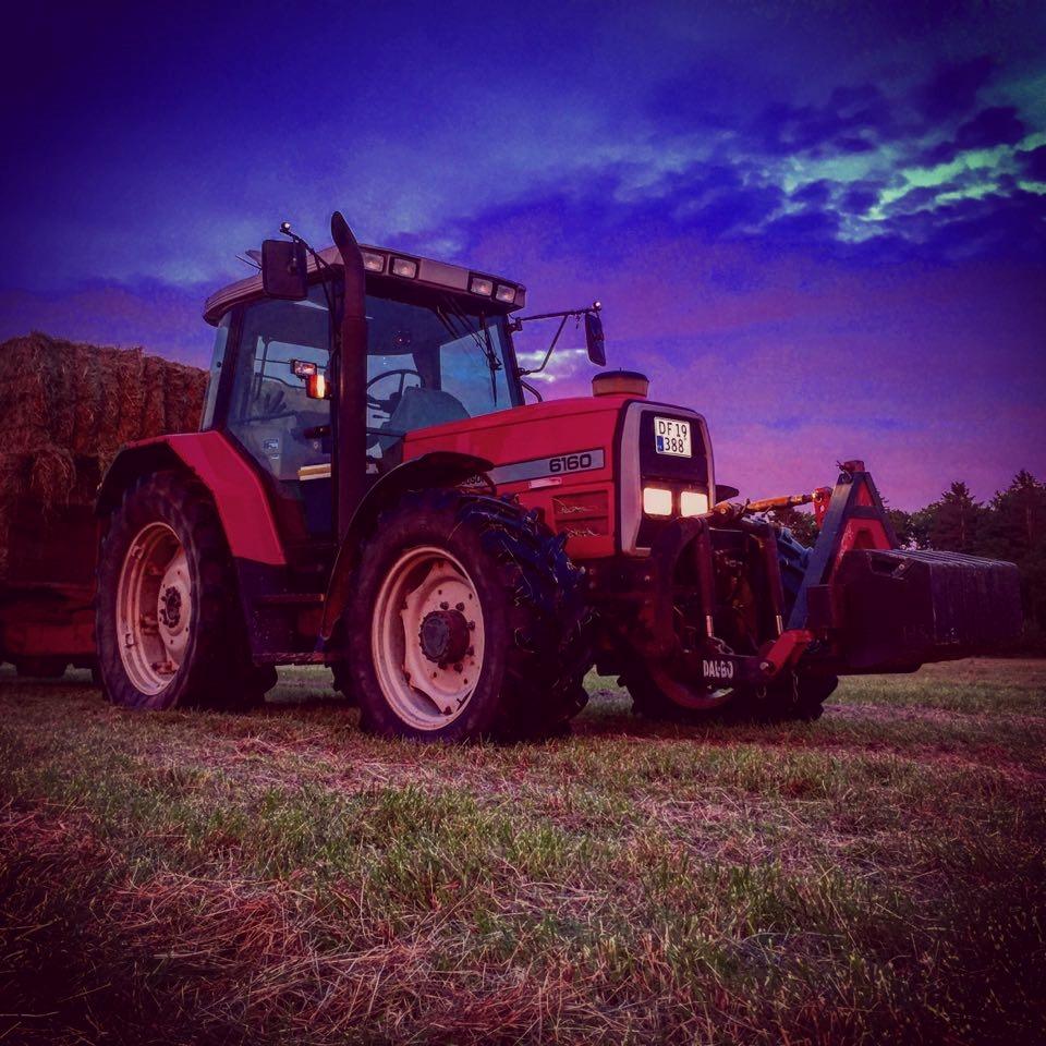 Massey Ferguson 6160 - flot sommer aften i engen  billede 17