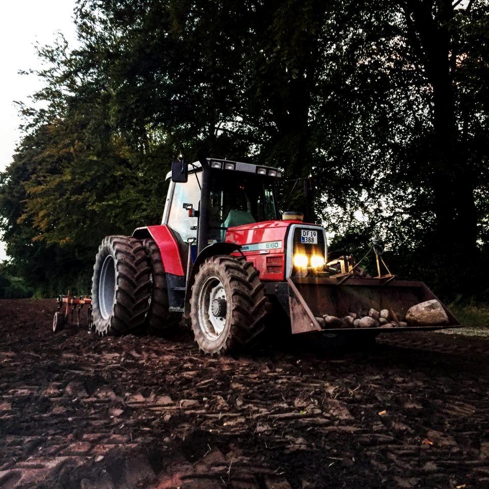 Massey Ferguson 6160 billede 1